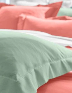 Linge De Lit Uni Coton -Maison Douceur Promos Magasin 101101 C01 zoom detailRFP