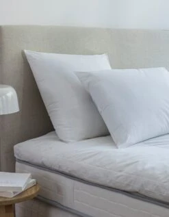 DODO Oreiller Anti-acariens Proneem® Moelleux