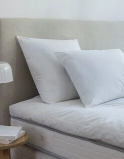 DODO Oreiller Anti-acariens Proneem® Ferme