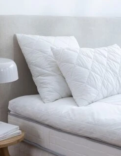 Oreiller Mémoire De Forme F.A.N.® Antibac Ferme