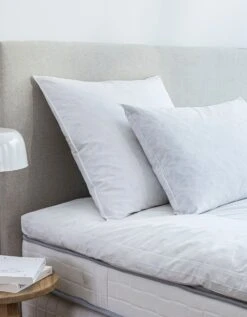 Oreiller Plumes En Lot De 2