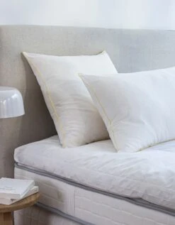 Oreiller Qualité Hôtellerie Lavages Intensifs