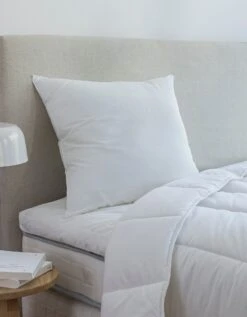 Oreiller Anti-transpirant Moelleux -Maison Douceur Promos Magasin 111785 C01 zoomx vue4