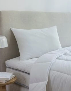 Oreiller Anti-transpirant Ferme -Maison Douceur Promos Magasin 111787 C01 zoomx vue5