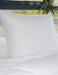 Oreiller Anti-transpiration En Microfibre Passerelle® - Moelleux