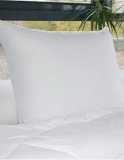 Oreiller Anti-transpiration En Microfibre Passerelle® Confort Ferme