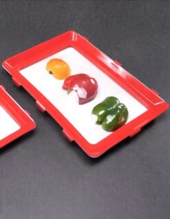 Plateau De Conservation Clever Tray - Lot De 2 -Maison Douceur Promos Magasin 237006 C01 zoomx vue3