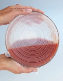 Couvre-pots Extensibles En Silicone Transparent - Lot De 6 6 Couvre-pots Extensibles En Silicone Transparent - Lot De 6 -Maison Douceur Promos Magasin 237087 C01 zoomx vue3