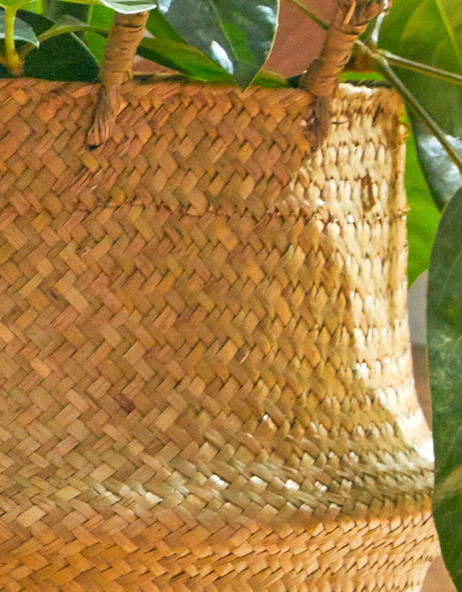 Panier Pliable Jonc De Mer 2 Panier Pliable Jonc De Mer – Image 2