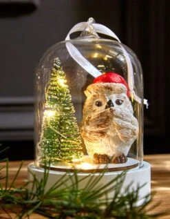 Globe De Noël Lumineux.