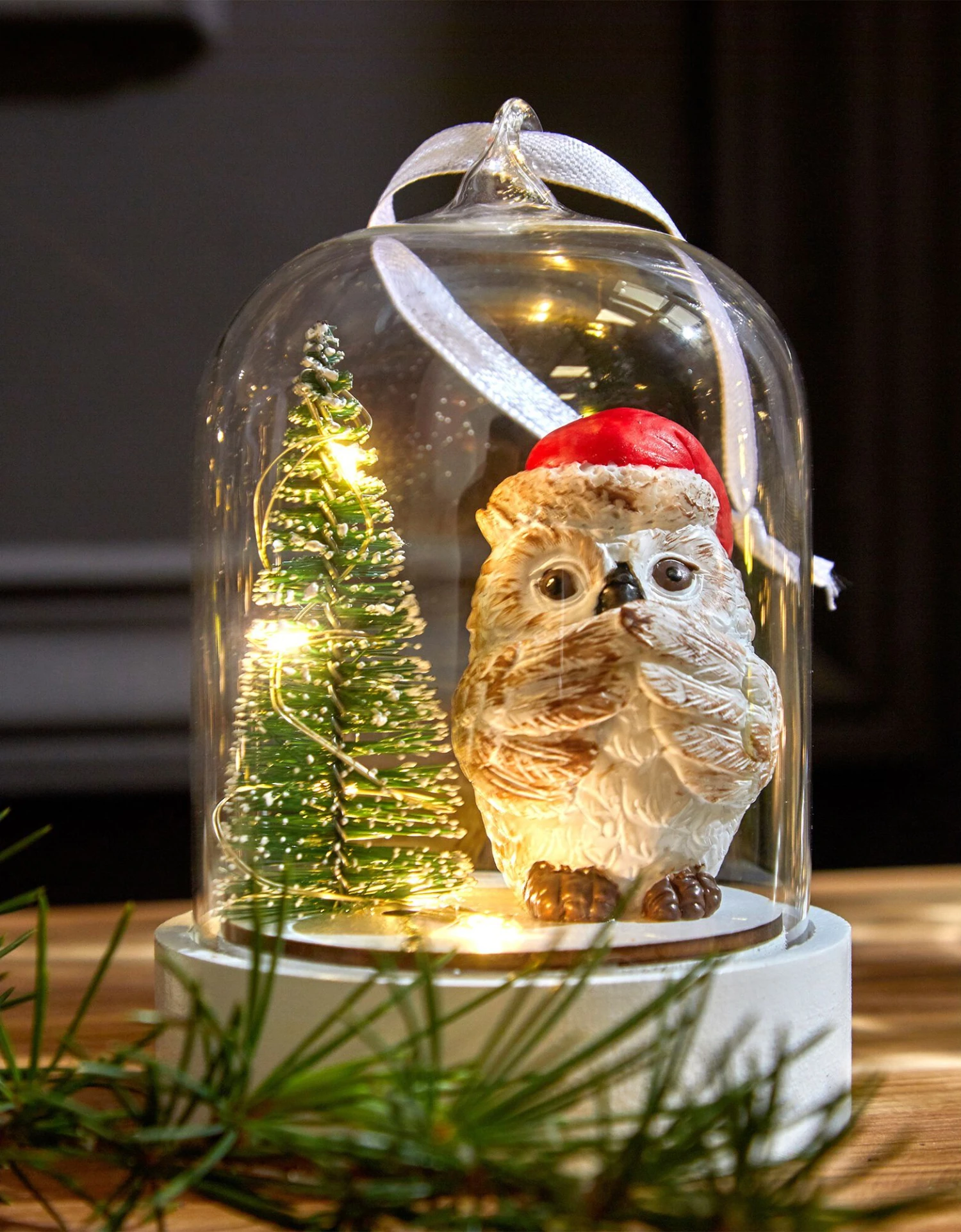 Globe De Noël Lumineux. 1 Globe De Noël Lumineux.