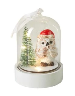 Globe De Noël Lumineux. 6 Globe De Noël Lumineux. -Maison Douceur Promos Magasin 249401 C01 zoomx vue3