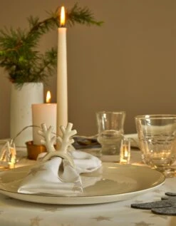 Guirlande Lumineuse Sapins à Leds -Maison Douceur Promos Magasin 249405 C01 zoomx vue5