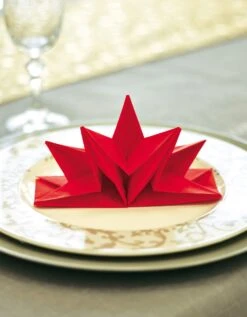 Lot De 12 Serviettes Prépliées