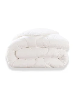 Couette Graine De Lin Suprelle Lin Protect (200g/m²) - DODO