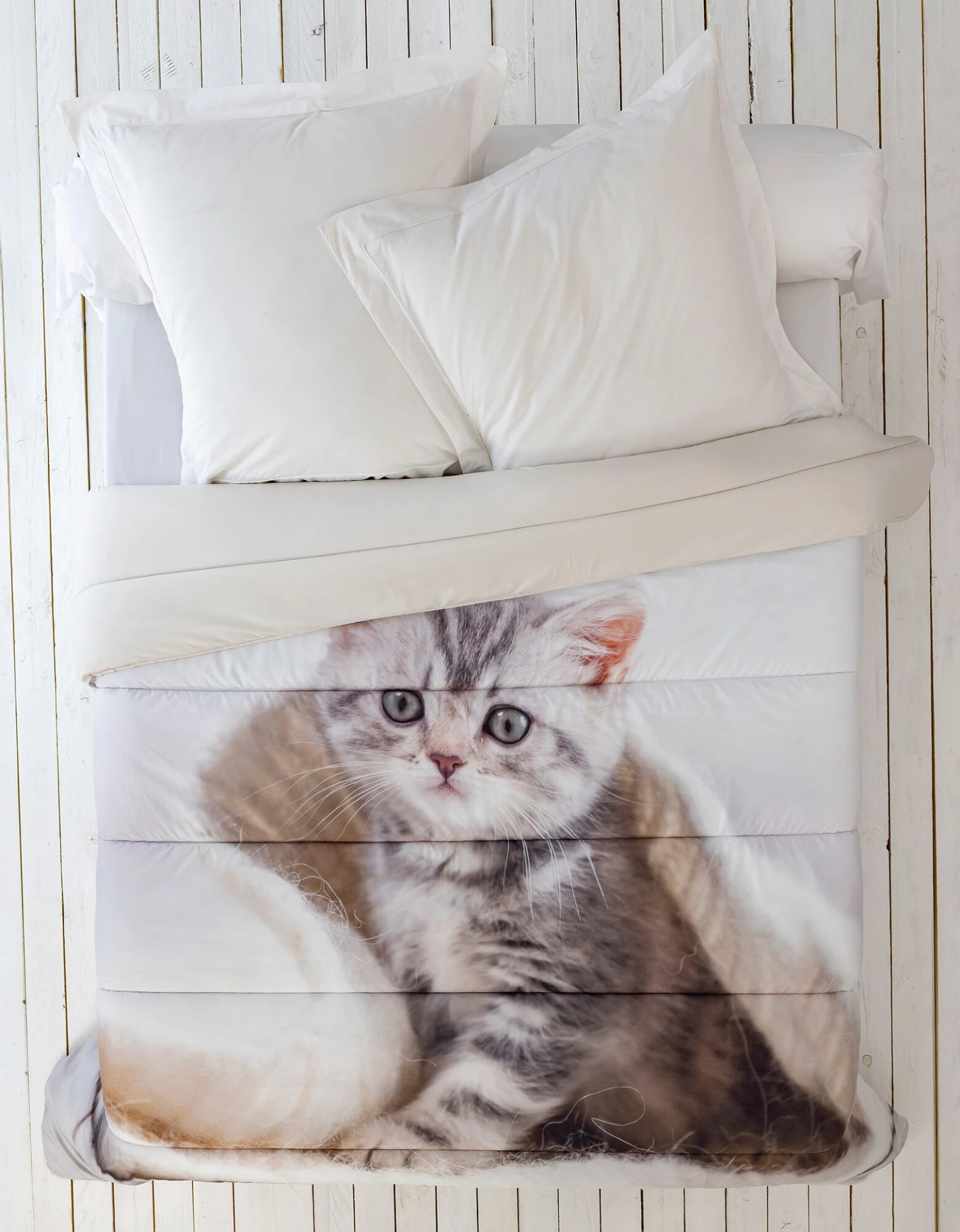 Couette Microfibre Imprimée Chaton - 400 G/m² 2 Couette Microfibre Imprimée Chaton - 400 G/m² – Image 2