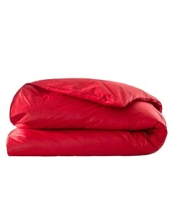 Édredon Naturel Duvet Et Plumettes Qualité Prestige